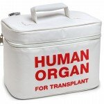 human-organ-for-transplant