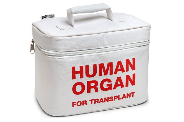 human-organ-for-transplant