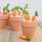 Carrot_Patches