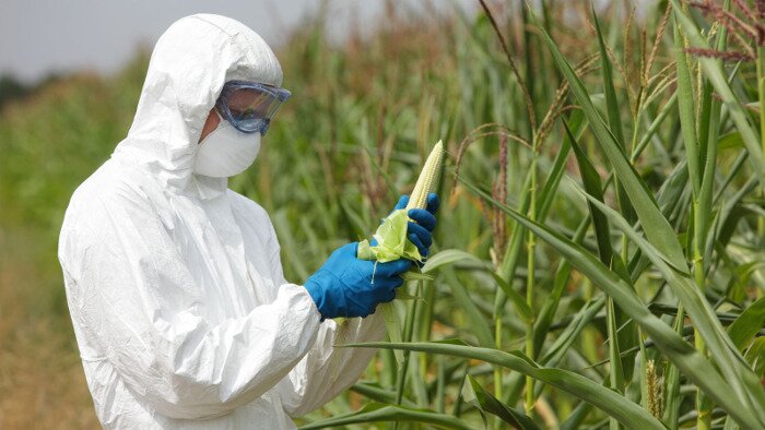 Overwhelming majority of Germans contaminated by glyphosate